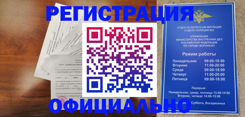 прописка поиск в Волоколамске